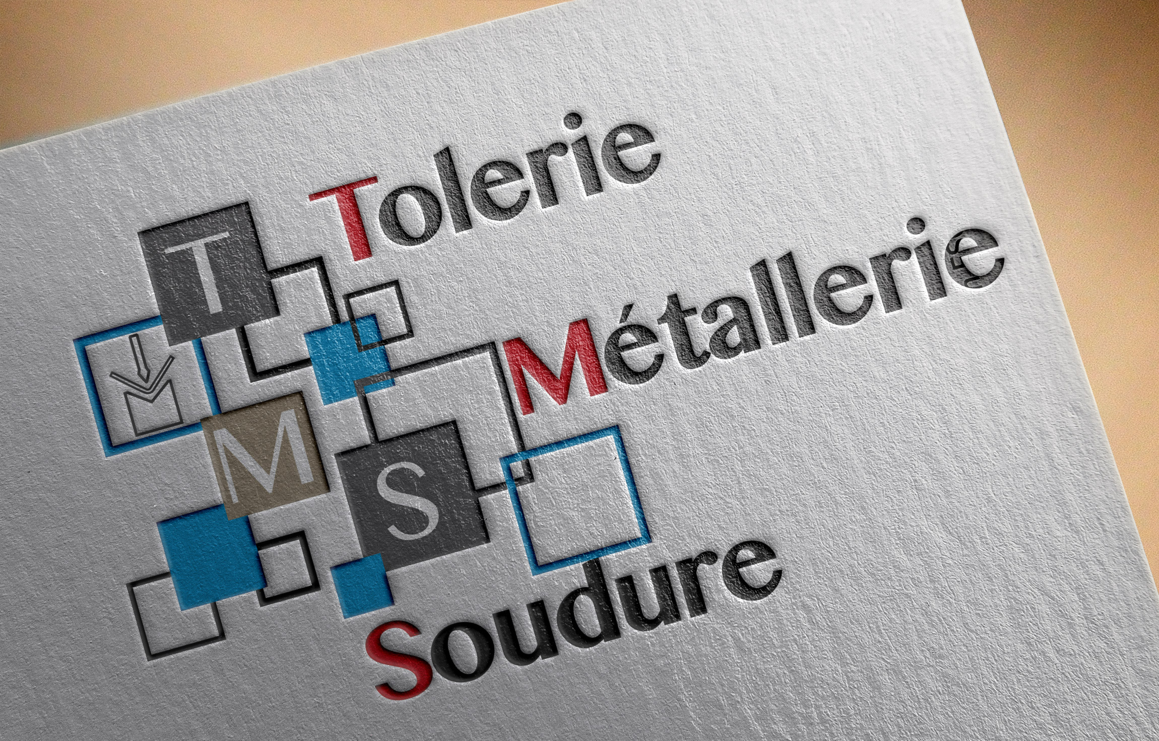 logo-tms- Tôlerie Métallerie Soudure à Saint André de Corcy