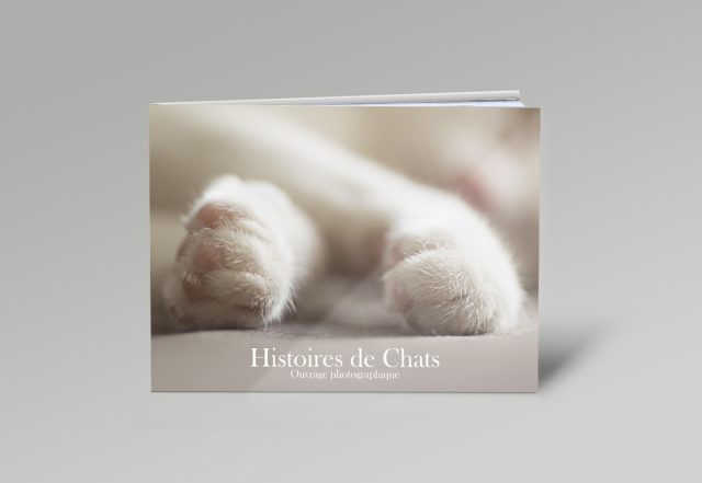 livre photographie artistique sur les chats