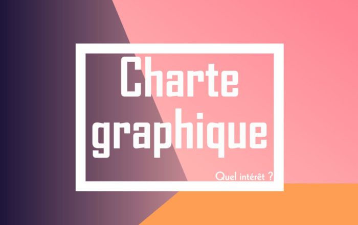 Charte graphique graphiste SAORI