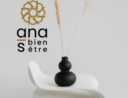 Refonte de logo Ana Stephan Bien-être